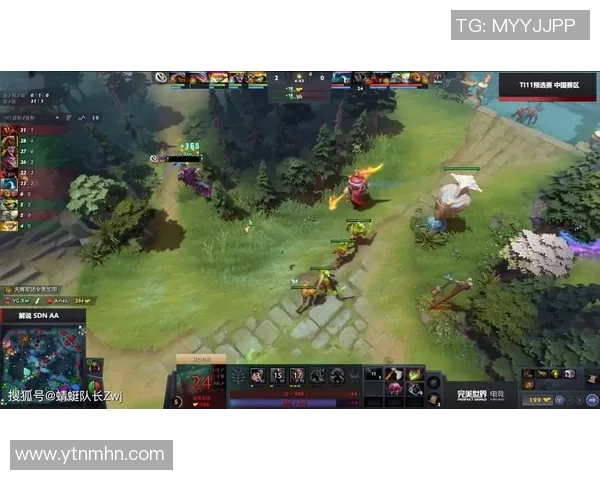 V5战队在DOTA2比赛中的控制策略分析与成败得失探讨